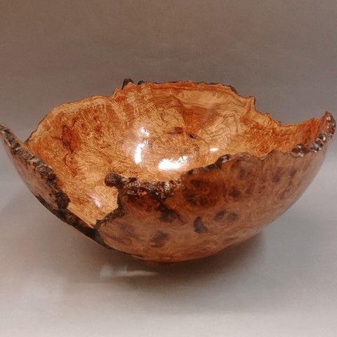 JW-168 Bowl, Shallow Aspen Burl Bowl 13.5 x 13 at Hunter Wolff Gallery